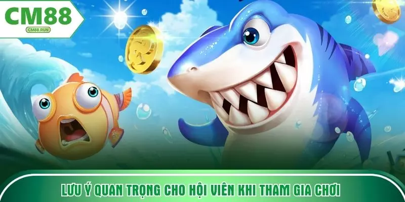 Lưu ý quan trọng cho hội viên khi tham gia chơi 